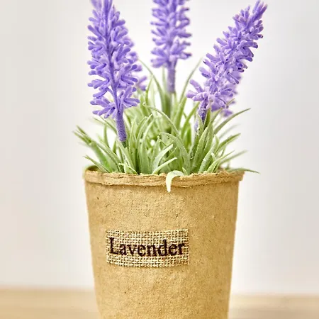 Laguna Wave 3 Apartament *