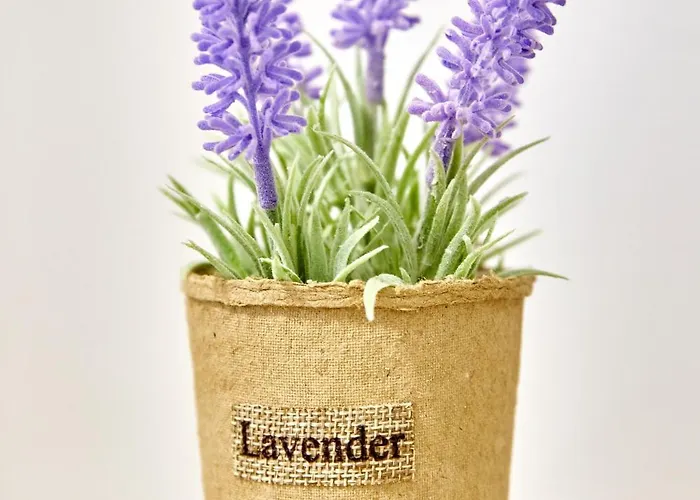 Laguna Wave 3 דירה *